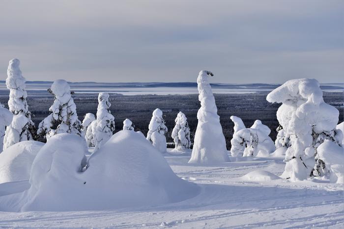 Lunta Riisitunturilla helmikuussa 2020.